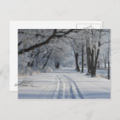 Carte Postale Piste de randonnée d'hiver (Devant / Derrière)