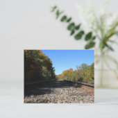 Carte Postale Pistes en automne (Debout devant)