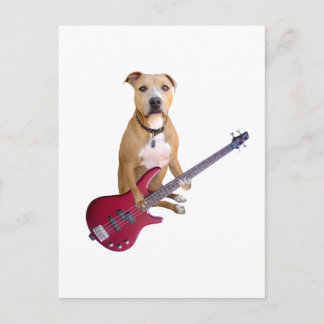 Carte Postale Pit Bull avec guitare
