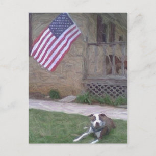 Carte postale Pit Bull/BSL