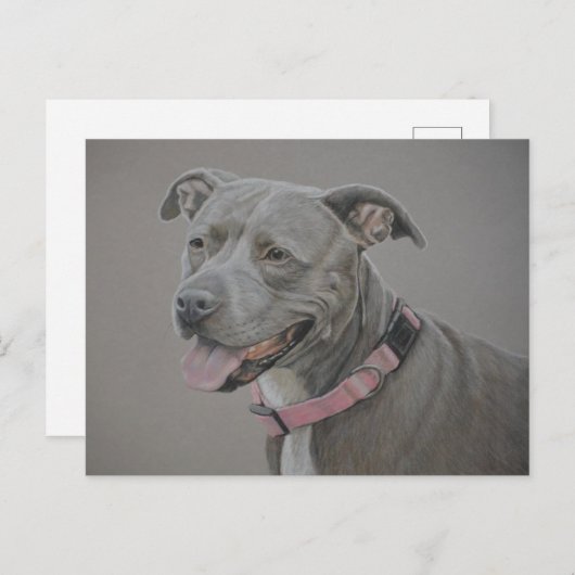 Carte postale Pit Bull Dog Art (Devant / Derrière)