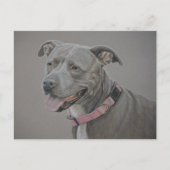 Carte postale Pit Bull Dog Art (Devant)