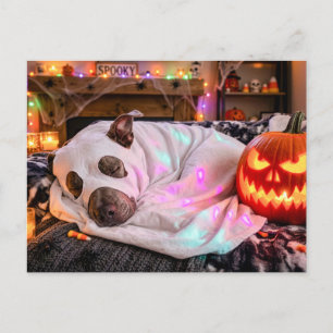 Carte Postale Pit Bull dormant en costume de fantôme Halloween