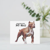 Carte Postale Pitbull (Debout devant)