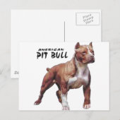 Carte Postale Pitbull (Devant / Derrière)