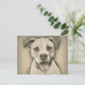 Carte Postale Pitbull - American Bulldog Pcrayon portrait croisé (Debout devant)