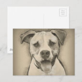Carte Postale Pitbull - American Bulldog Pcrayon portrait croisé (Devant / Derrière)
