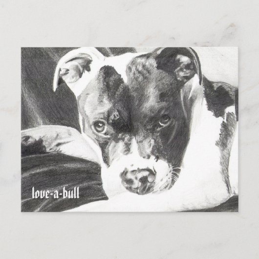 Carte Postale Pitbull Puppy au crayon 4 par Jacob Grimm (Devant)