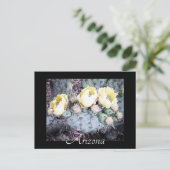 Carte postale pittoresque Arizona Cactus Flower Di (Debout devant)