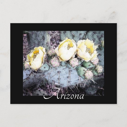 Carte postale pittoresque Arizona Cactus Flower Di (Devant)