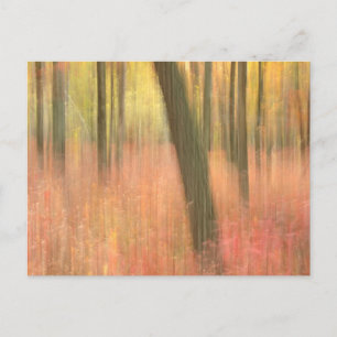 Carte Postale pittoresque automatique abstrait