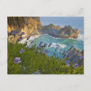Carte Postale Pittoresque McWay Falls tombent sur la plage.