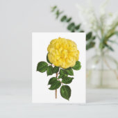 Carte Postale Pivoine jaune botanique (Debout devant)