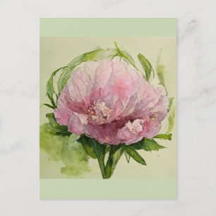 Carte Postale Pivoine rose délicate