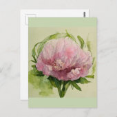 Carte Postale Pivoine rose délicate  (Devant / Derrière)