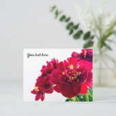 Carte postale Pivoine Rouge (Debout devant)