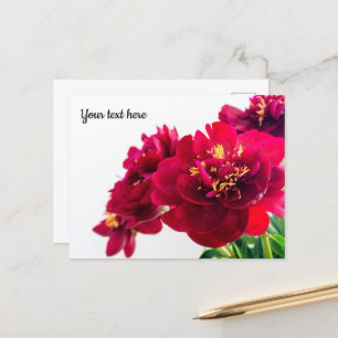 Carte postale Pivoine Rouge