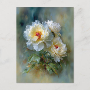Carte Postale Pivoines blanches éthérées en fleurs