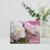 Carte Postale Pivoines roses (Debout devant)