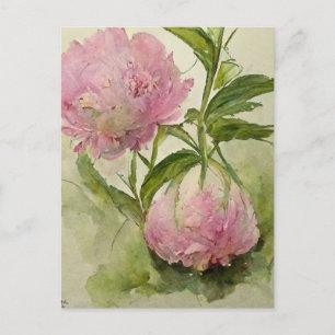 Carte Postale Pivoines roses délicates 