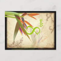 PixDezines oiseau vintage de paradis/do-it-yoursel