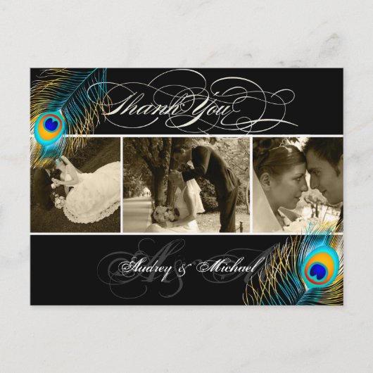 Carte Postale PixDezines Peacock Mariage Photos Merci (Devant)