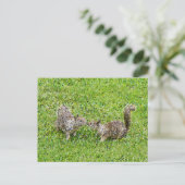 Carte Postale Pixel Art - Deux écureuils (Debout devant)