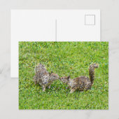 Carte Postale Pixel Art - Deux écureuils (Devant / Derrière)