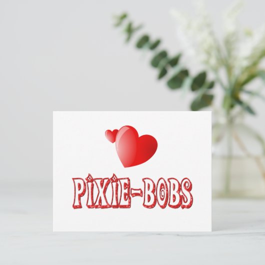 Carte Postale Pixie-Bob Love (Debout devant)