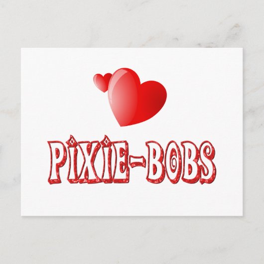 Carte Postale Pixie-Bob Love (Devant)