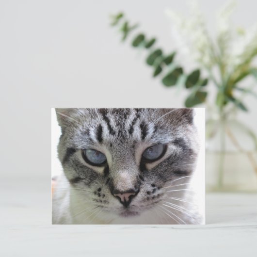 Carte Postale Pixie vers le haut (Debout devant)