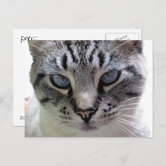 Carte Postale Pixie vers le haut (Devant / Derrière)