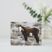 Carte Postale PJ La Peinture (Debout devant)