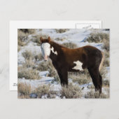 Carte Postale PJ La Peinture (Devant / Derrière)