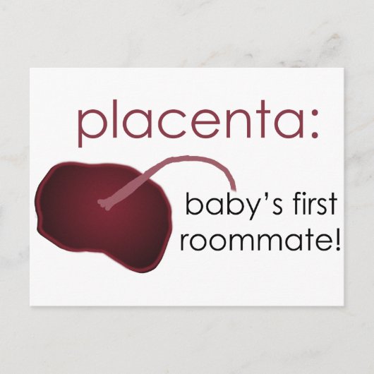 Carte Postale placenta, le premier compagnon de chambre du bébé (Devant)