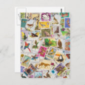 Carte Postale Placer le tampon ici (Devant / Derrière)