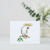 Carte Postale Placido Parrot (Debout devant)