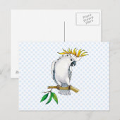 Carte Postale Placido Parrot (Devant / Derrière)