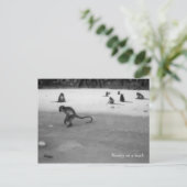 Carte Postale Plage (Debout devant)