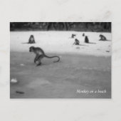 Carte Postale Plage (Devant)