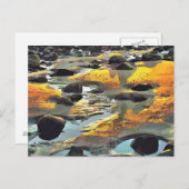 CARTE POSTALE PLAGE (Devant / Derrière)