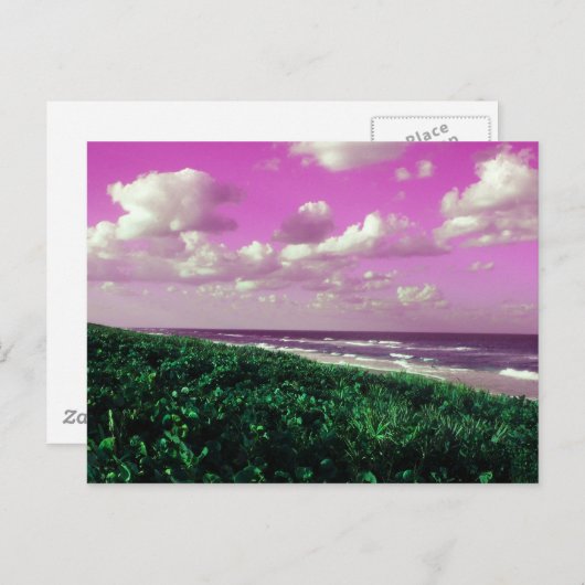 carte postale plage (Devant / Derrière)