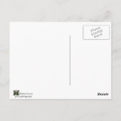 Carte Postale plage (Dos)