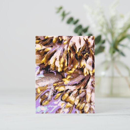 CARTE POSTALE PLAGE (Debout devant)