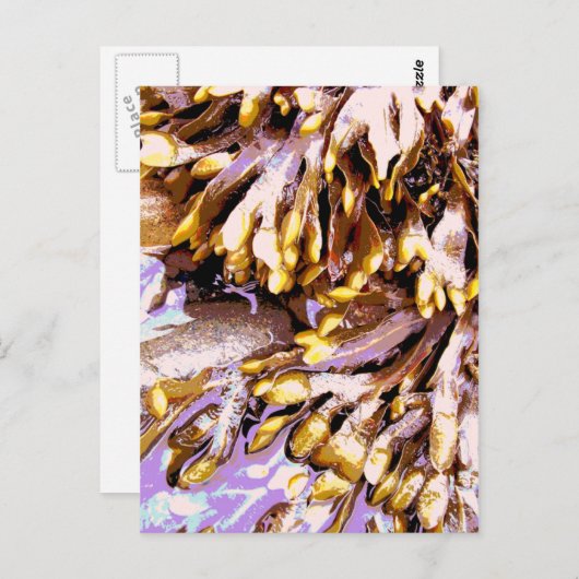 CARTE POSTALE PLAGE (Devant / Derrière)