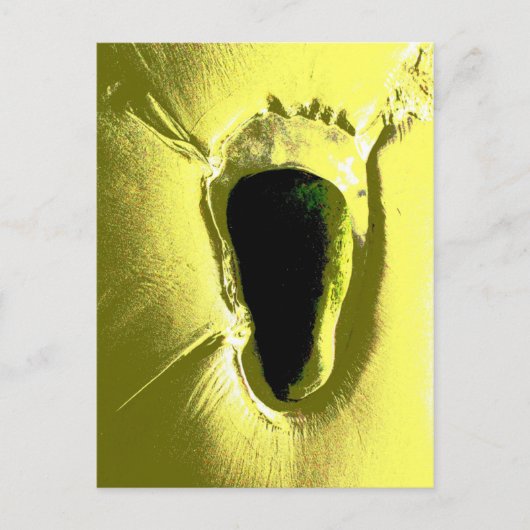 CARTE POSTALE PLAGE (Devant)