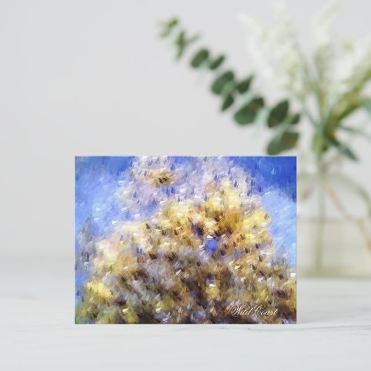 CARTE POSTALE PLAGE (Debout devant)