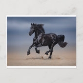 Carte Postale Plage (Devant)