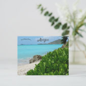 Carte Postale Plage à Antigua (Debout devant)