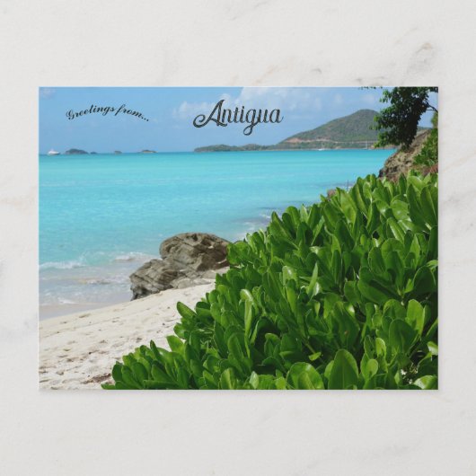 Carte Postale Plage à Antigua (Devant)